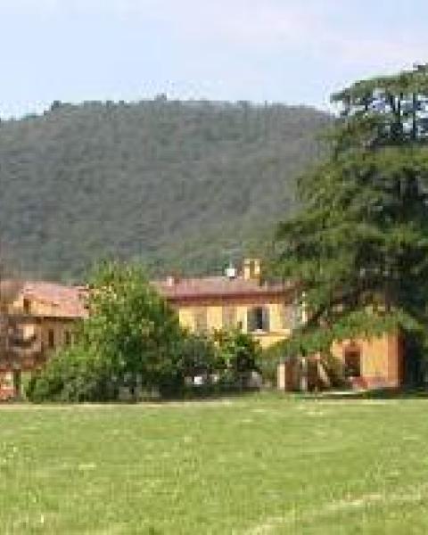 Cedro di Villa La Cobatola