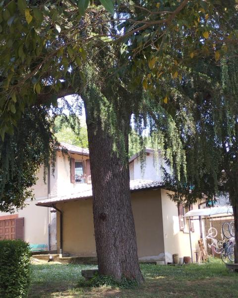 Deodara di Casa Delbrêl