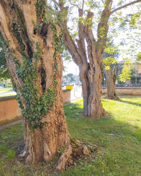 Tre di sei lato ovest.