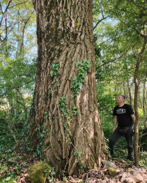 Anna Nicolodi/Amb2026