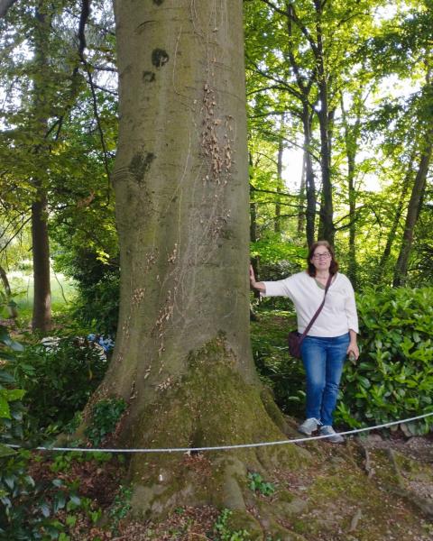 Faggio rosso Villa De Ferrari Bagatti Valsecchi