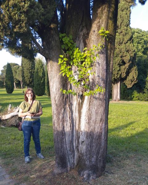 Cipresso col Gelso
