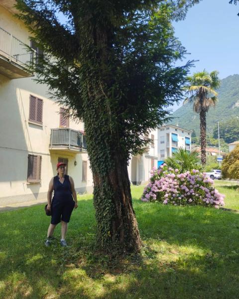 Tasso