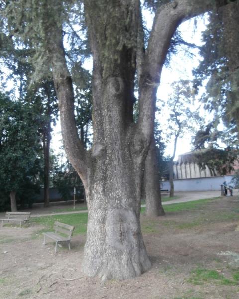 Atlantica minore Parco Sottocasa