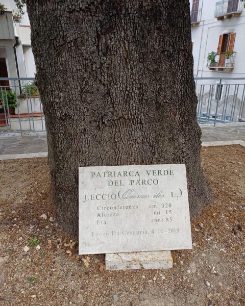 Foto Dario Lattanzio