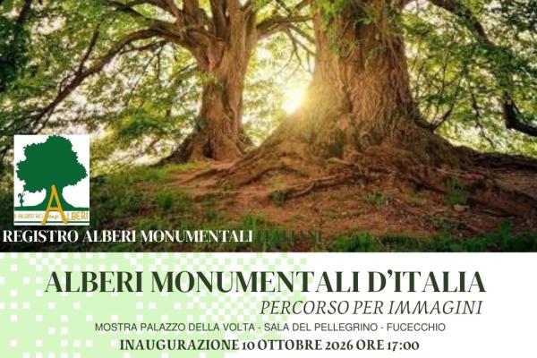 Mostra fotografica itinerante alberi monumentali