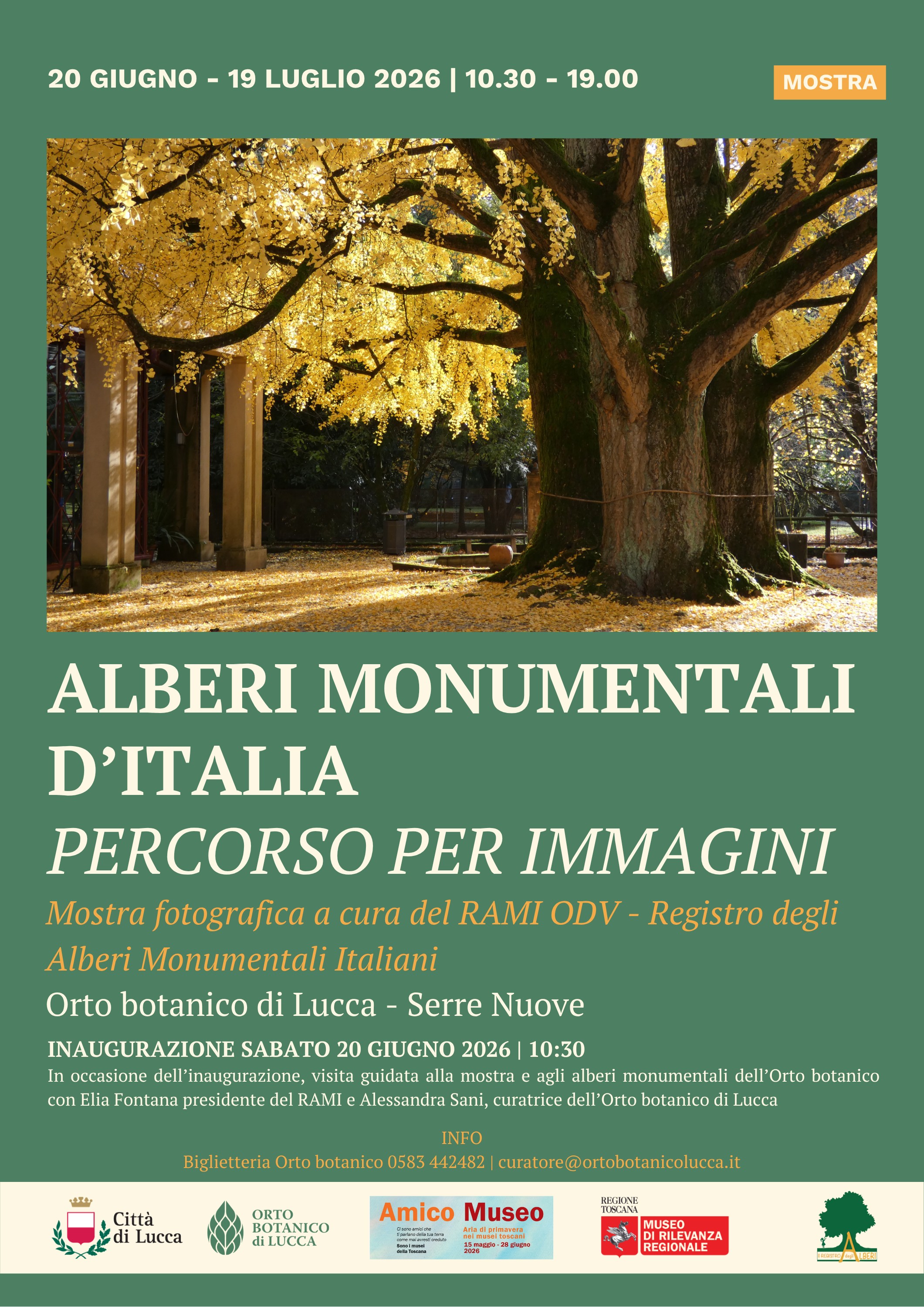 Alberi monumentali d'Italia - Percorso per immagini