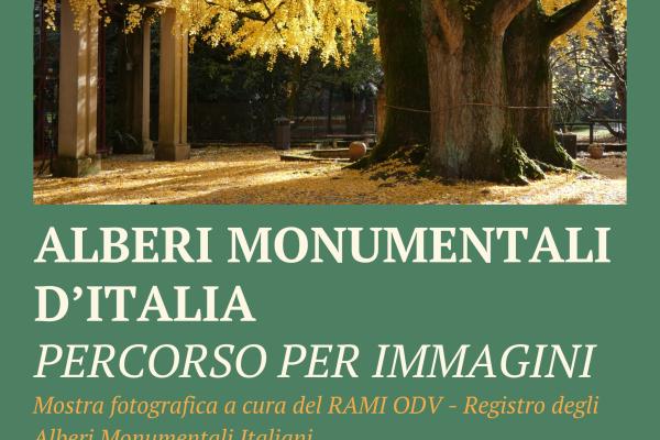 Alberi monumentali d'Italia - Percorso per immagini