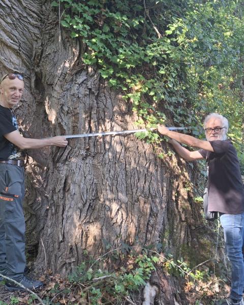 Fotografia di Luca Gemignani del 03/10/2026 con Sauro Bigelli sulla sx e Mauro Zandri sulla dx