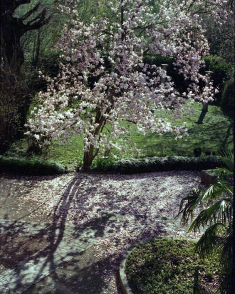 Primavera 2001