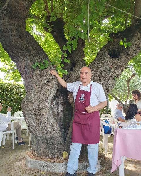 GELSO "NONNO ENRICO" con Gianfranco Catalani il proprietario. Fotografia di Sauro Bigelli del 21/06/2026