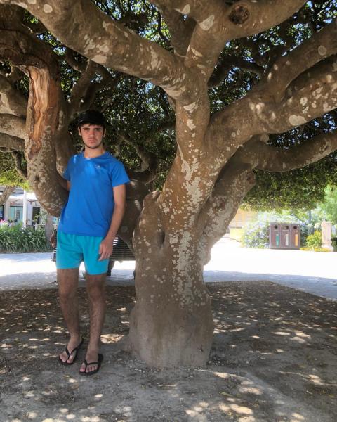 Foto